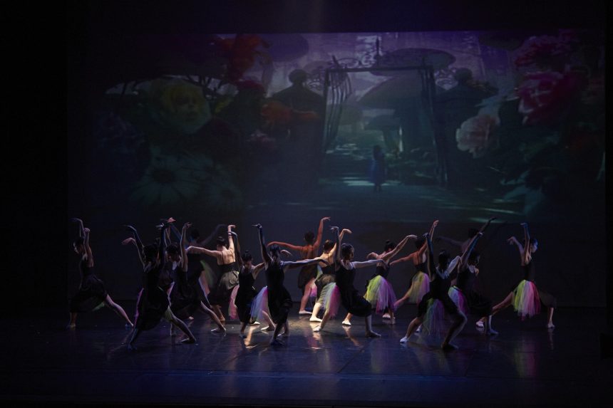 Ballet Clássico by Romeu Bio